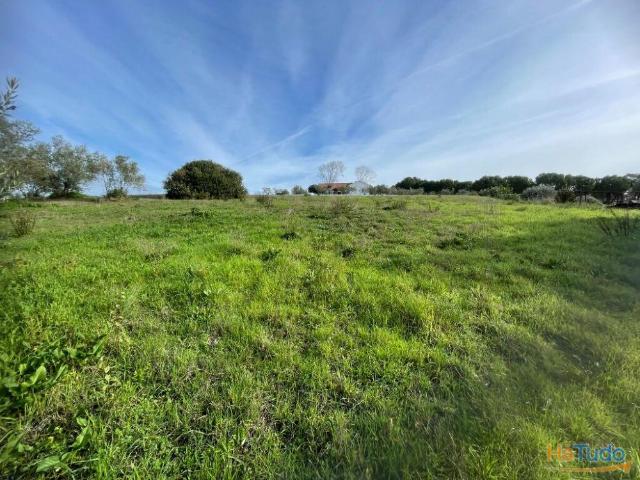 Terreno venda em Tomar, Santarém