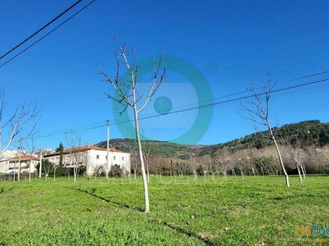 Terreno venda em Edroso, Bragança