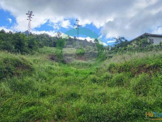 Terreno venda em Edroso, Bragança