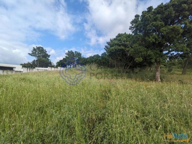 Terreno venda em Óbidos, Leiria