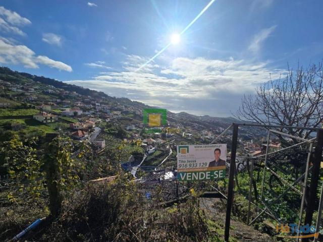 Terreno venda em Câmara De Lobos, Ilha Da Madeira