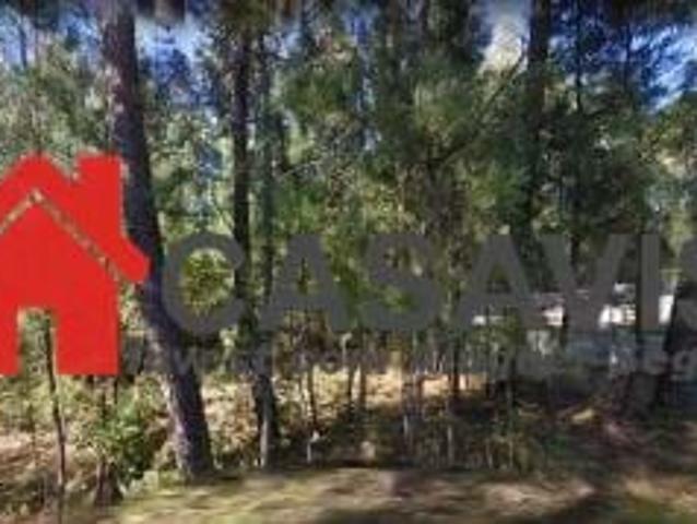 Terreno venda em Viseu