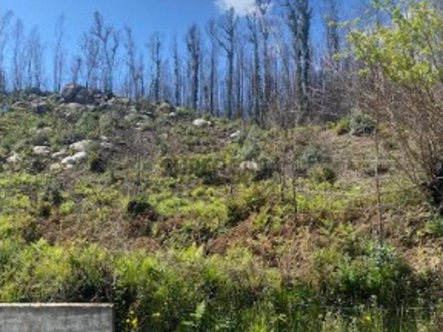 Terreno venda em Sóligo, Sever Do Vouga