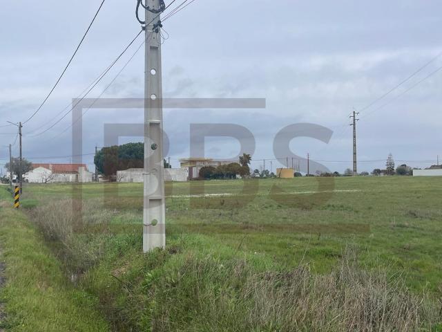 Terreno venda em Salvaterra De Magos, Santarém