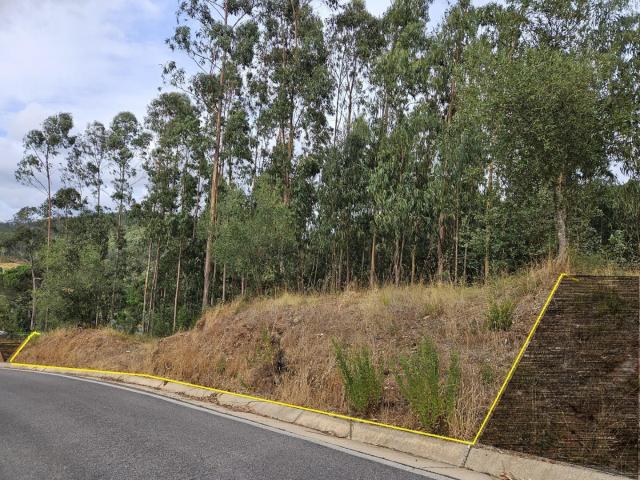 Terreno venda em Coimbrã, Brasfemes