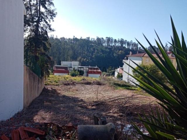 Terreno venda em Águeda, Aveiro