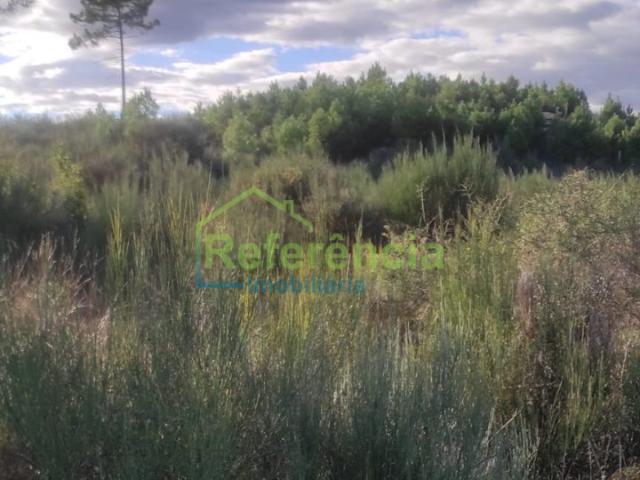 Terreno venda em Quinta da Estação, Chaves