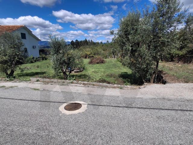 Terreno venda em Lajeosa do Dão, Tondela