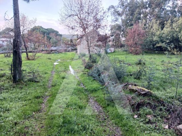 Terreno venda em Mourilhe, Viseu