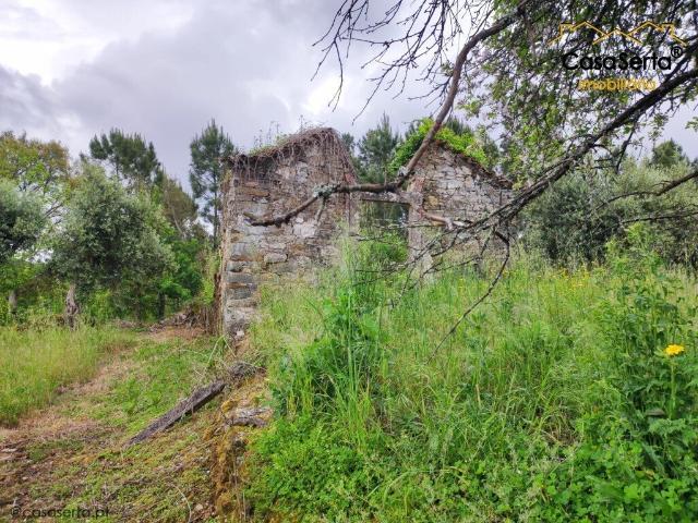 Terreno venda em Cernache do Bonjardim, Nesperal e Palhais, Sertã