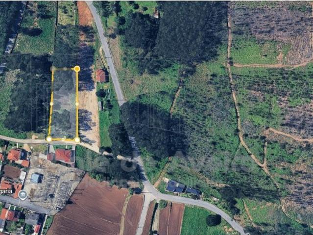 Terreno venda em Albergaria-a-velha, Aveiro