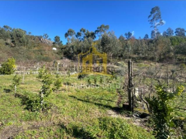 Terreno venda em Travassos, Póvoa De Lanhoso
