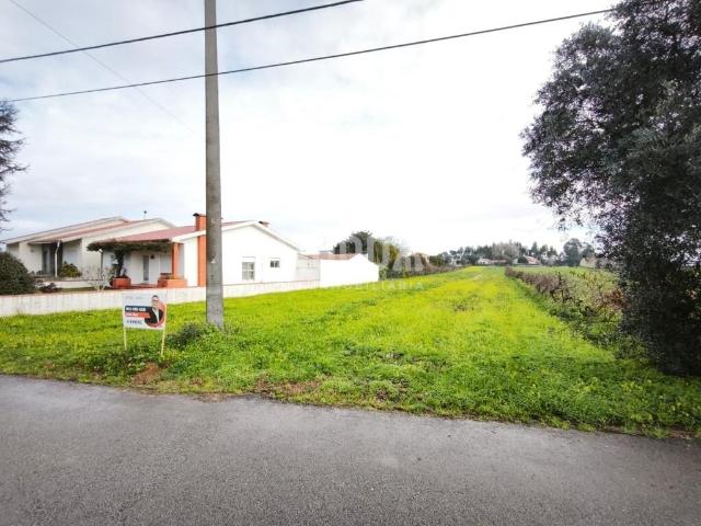 Terreno venda em Mamodeiro, Aveiro