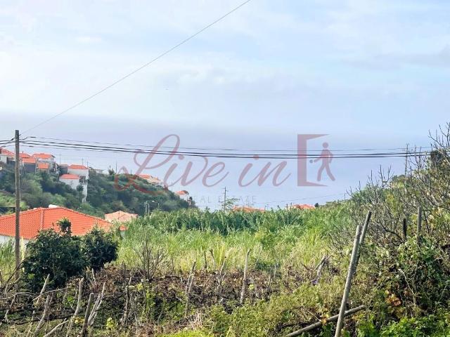 Terreno venda em Girão, Estreito Da Calheta