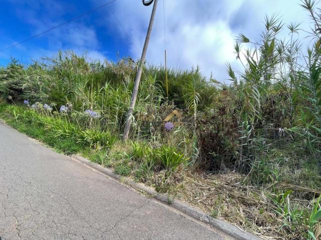 Quinta venda em Prazeres, Ilha Da Madeira