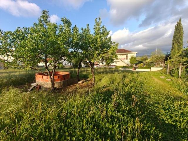 Terreno venda em Montoiro, Miranda Do Corvo