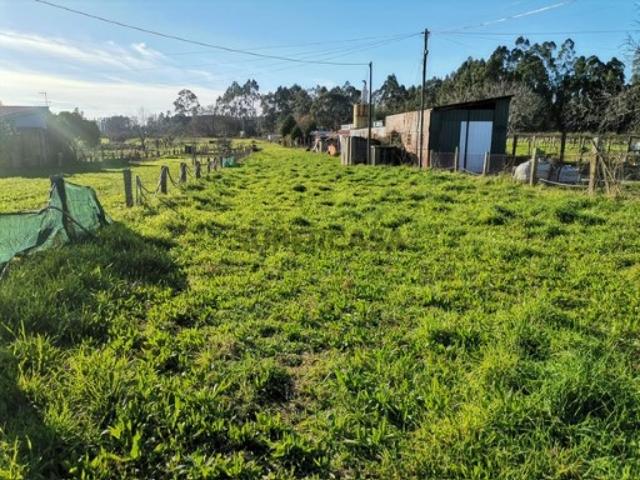 Terreno venda em Guimarães Terreno venda em Guimarães