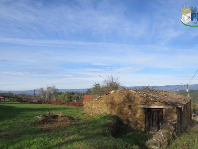 Casa venda em Sesmo, Carvalhal