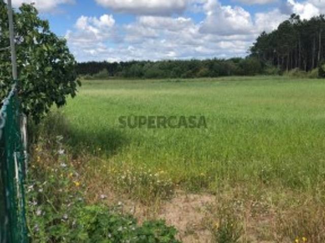 Terreno venda em Pereirões, Cantanhede