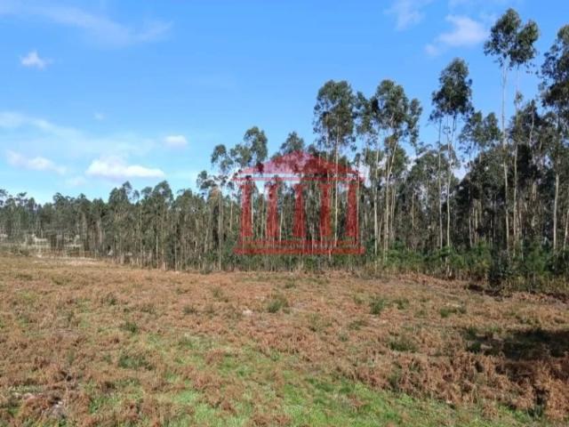 Terreno venda em Alheira e Igreja Nova, Arcozelo