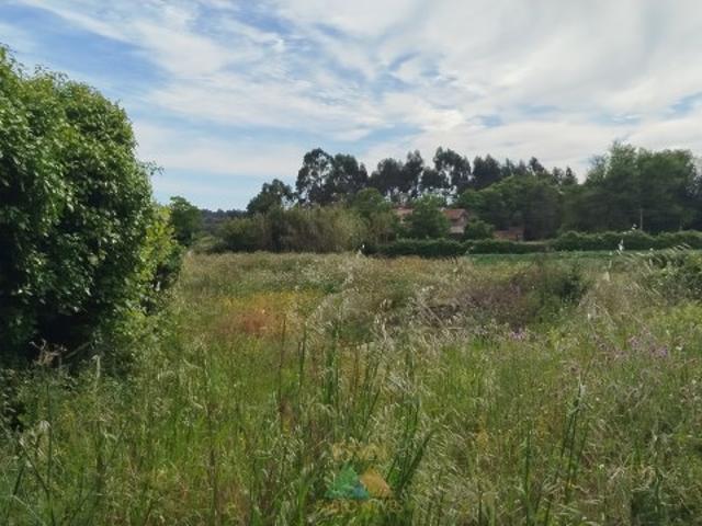 Terreno venda em Viana Do Castelo