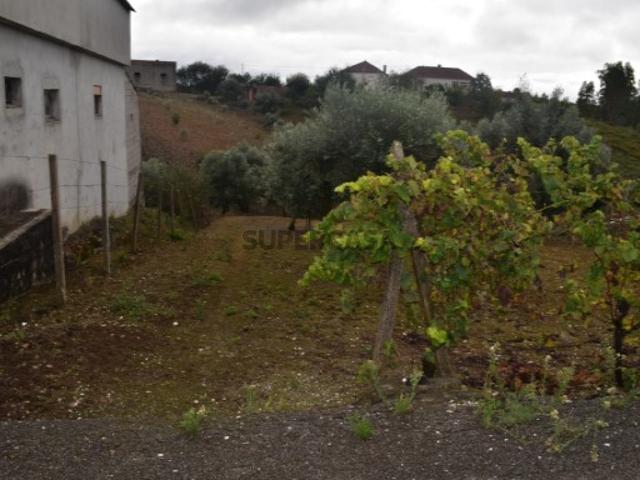 Terreno venda em Pedrógão Grande, Leiria