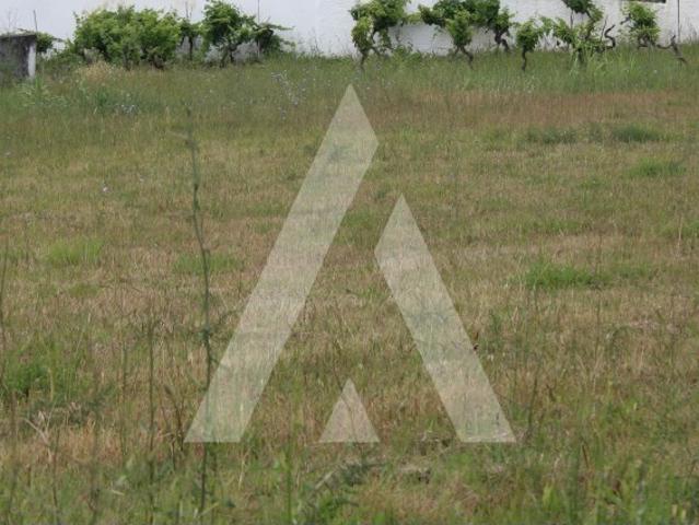 Terreno venda em Anadia, Aveiro
