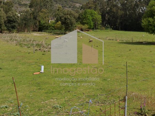Terreno venda em Caminha (Matriz) e Vilarelho, Arga De Baixo
