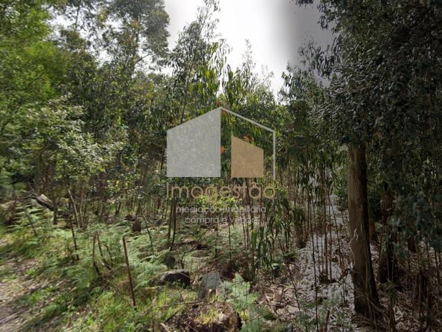 Terreno venda em Caminha (Matriz) e Vilarelho, Arga De Baixo