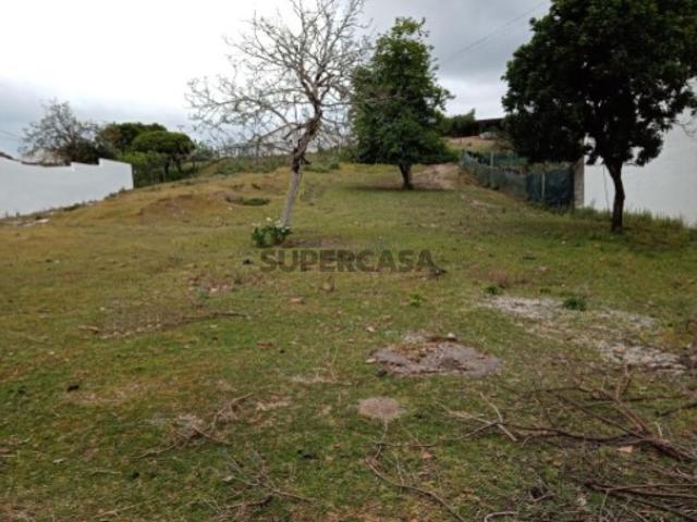 Terreno venda em Fermentelos, Águeda