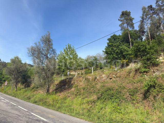 Terreno venda em Rossas, Vieira do Minho