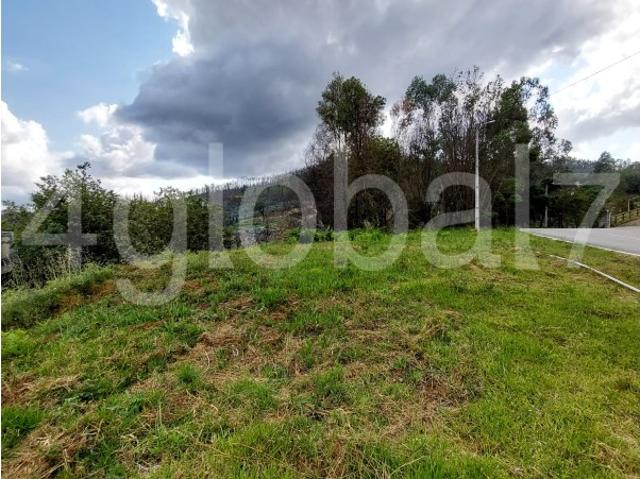 Terreno venda em Rachado, Sever Do Vouga