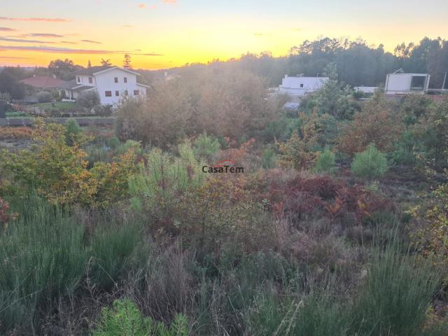 Terreno venda em Nespreira de Mundão, Viseu