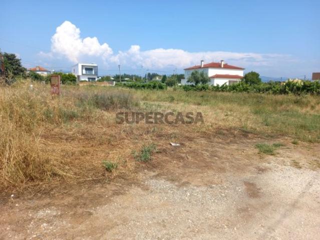 Terreno venda em Catraia de Assequins, Águeda