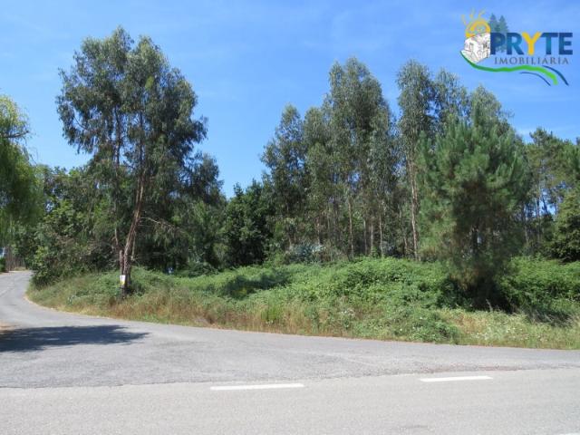 Terreno venda em Castelo Branco, Cumeada