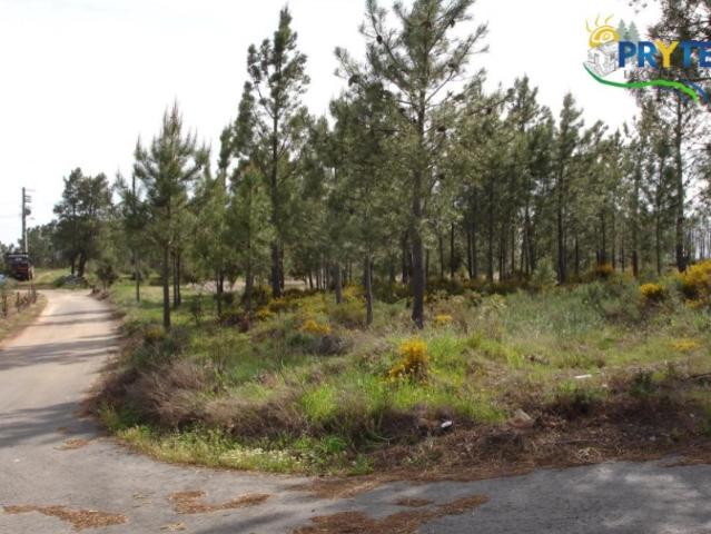 Terreno venda em Mação, Santarém