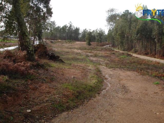 Terreno venda em Castelo Branco, Cumeada