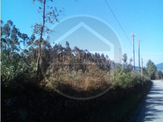 Terreno venda em Arga De Baixo, Viana Do Castelo