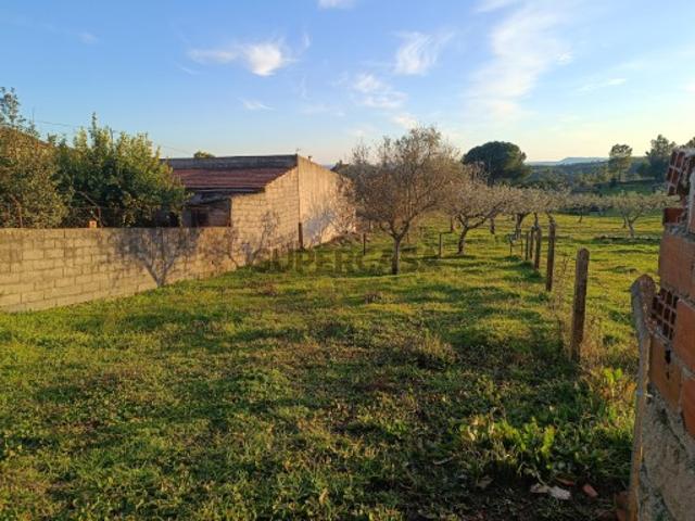 Terreno venda em Castelo Branco