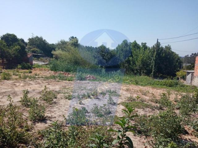 Terreno venda em Mamodeiro, Aveiro