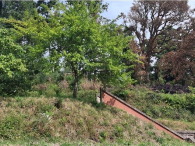 Terreno venda em Boalhosa, Viana Do Castelo