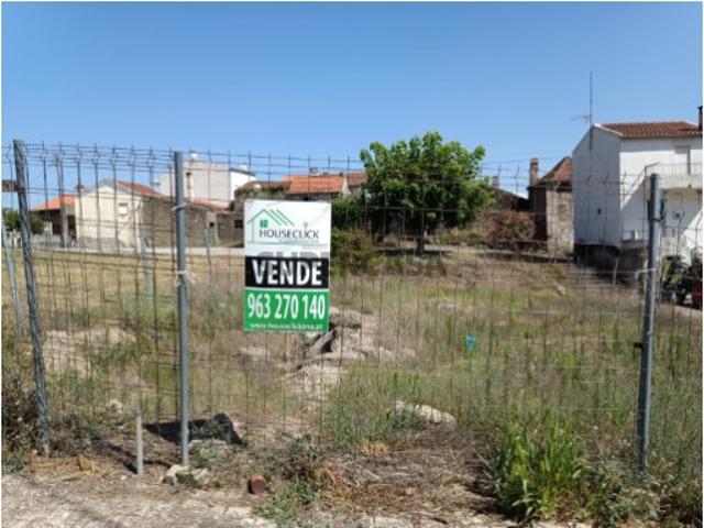 Terreno venda em Castelo Branco