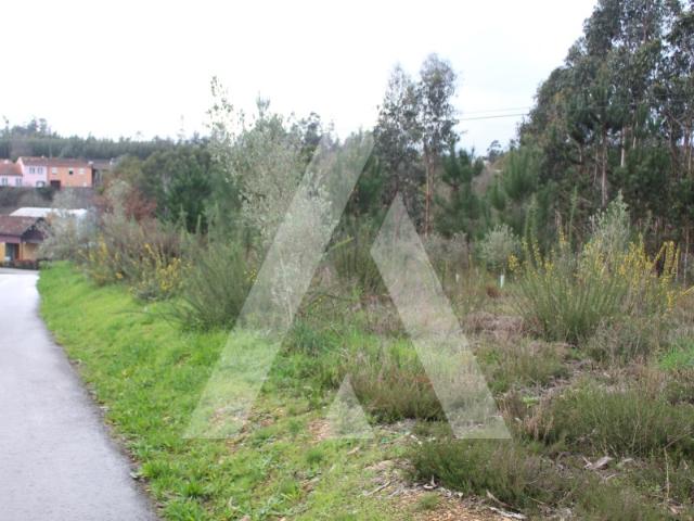 Terreno venda em Assilhó, Albergaria-a-velha