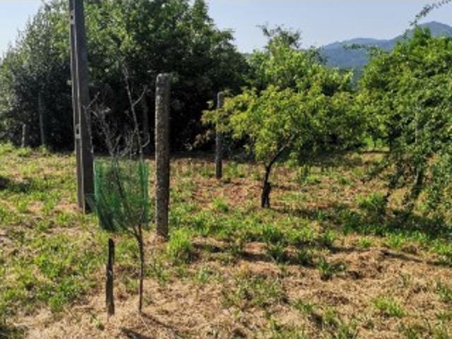 Terreno venda em Arcos De Valdevez, Viana Do Castelo