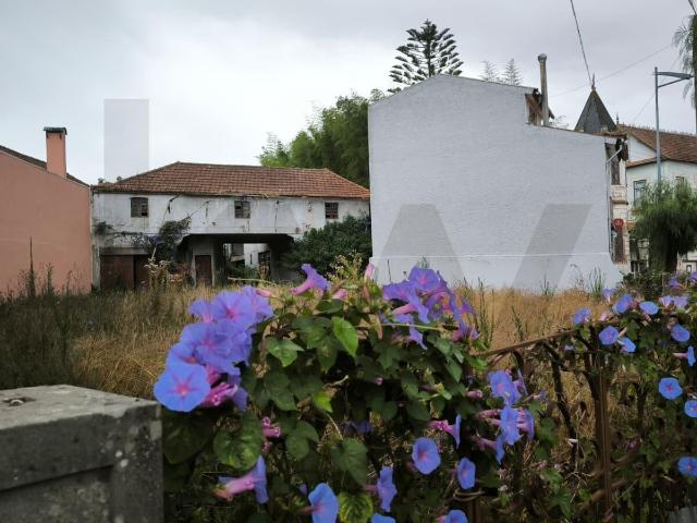 Terreno venda em Oliveira Do Bairro, Aveiro