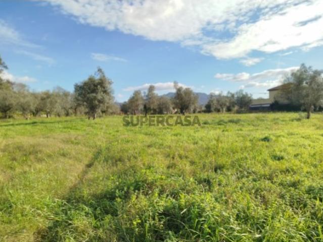 Terreno venda em Boalhosa, Viana Do Castelo