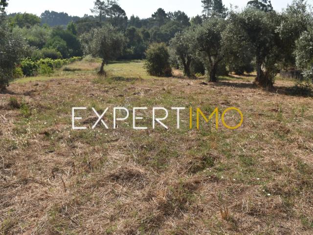 Terreno venda em Figueiró Dos Vinhos, Leiria