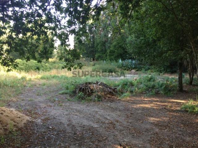 Terreno venda em Caminha, Lanhelas Terreno venda em Caminha, Lanhelas