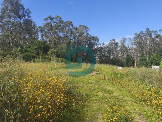 Terreno venda em Vila Do Conde, Porto
