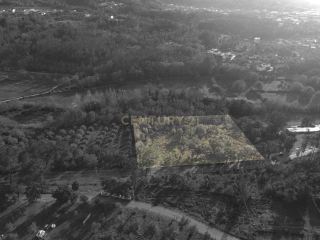 Terreno venda em Miranda Do Corvo, Coimbra